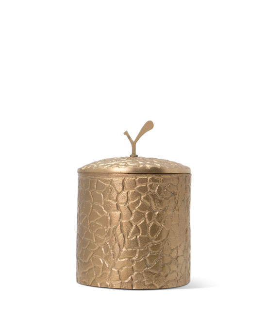 luxe candle housing, Moody Gold