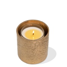 SPRY_keystr_768p-Luxe-gold-housing-3