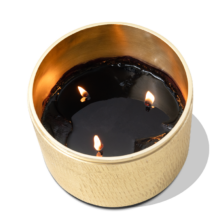 SPRY_keystr_768p-Luxe-3wick-gold-4