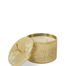 SPRY_keystr_768p-Luxe-3wick-gold-natural-1