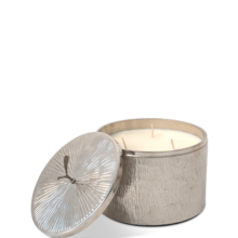 SPRY_keystr_768p-Luxe-3wick-plat-1