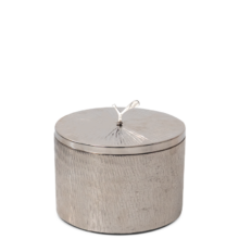 SPRY_keystr_768p-Luxe-3wick-plat-2