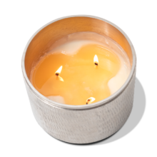 SPRY_keystr_768p-Luxe-3wick-plat-4